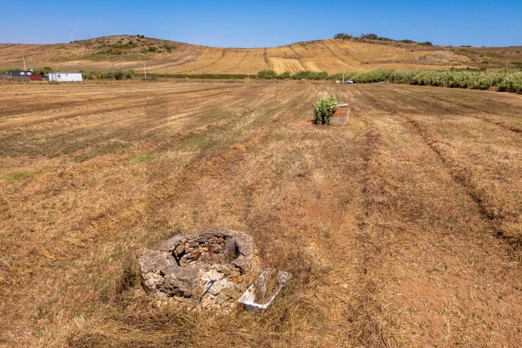 Terreno para Venda em Vila do Bispo e Raposeira Foto 7