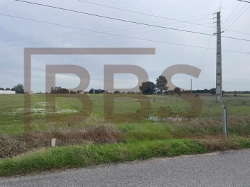 Terreno para Venda em Salvaterra de Magos e Foros de Salvaterra