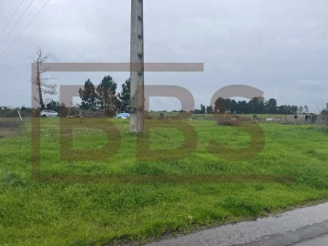Terreno para Venda em Salvaterra de Magos e Foros de Salvaterra