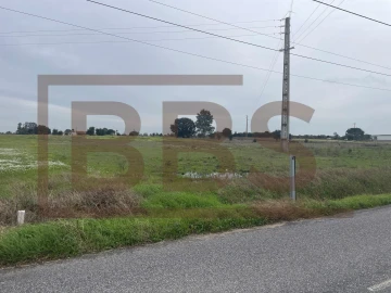 Terreno para Venda em Salvaterra de Magos e Foros de Salvaterra