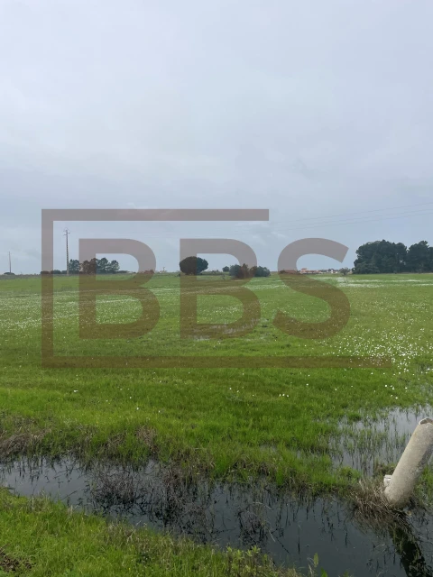 Terreno para Venda em Salvaterra de Magos e Foros de Salvaterra