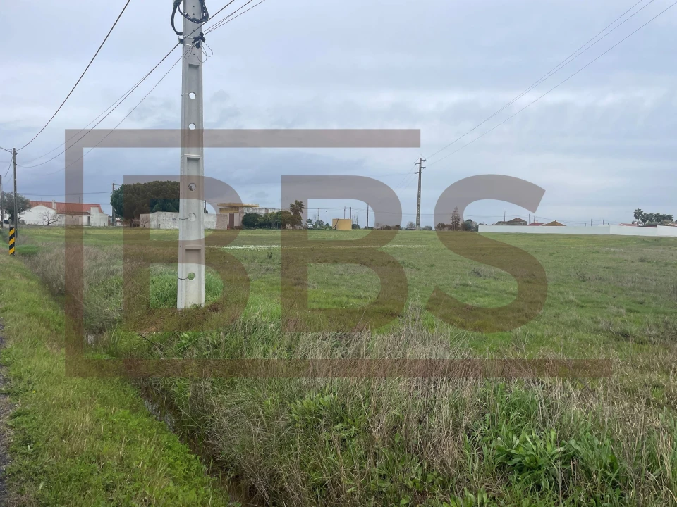 Terreno para Venda em Salvaterra de Magos e Foros de Salvaterra Foto 4