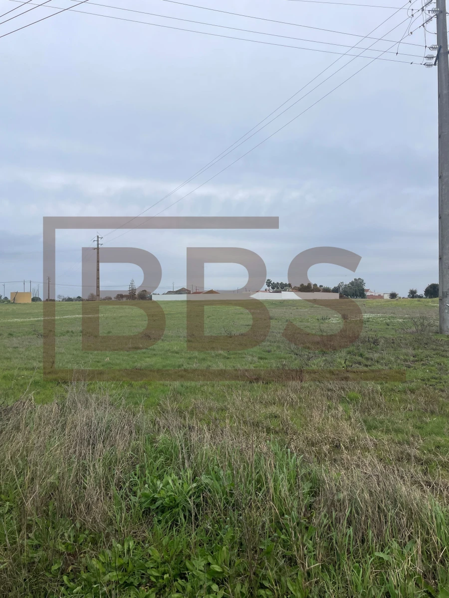 Terreno para Venda em Salvaterra de Magos e Foros de Salvaterra Foto 2