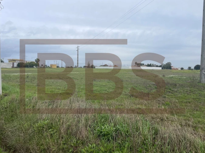 Terreno para Venda em Salvaterra de Magos e Foros de Salvaterra Foto 5