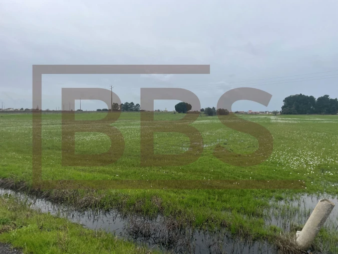 Terreno para Venda em Salvaterra de Magos e Foros de Salvaterra Foto 13