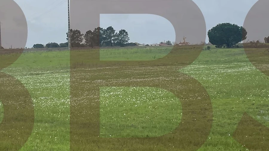 Terreno para Venda em Salvaterra de Magos e Foros de Salvaterra