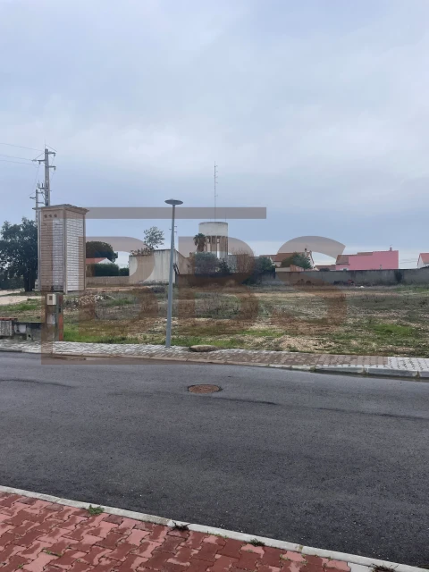 Terreno para Venda em Marinhais