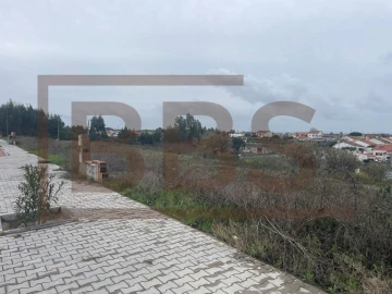 Terreno para Venda em Marinhais