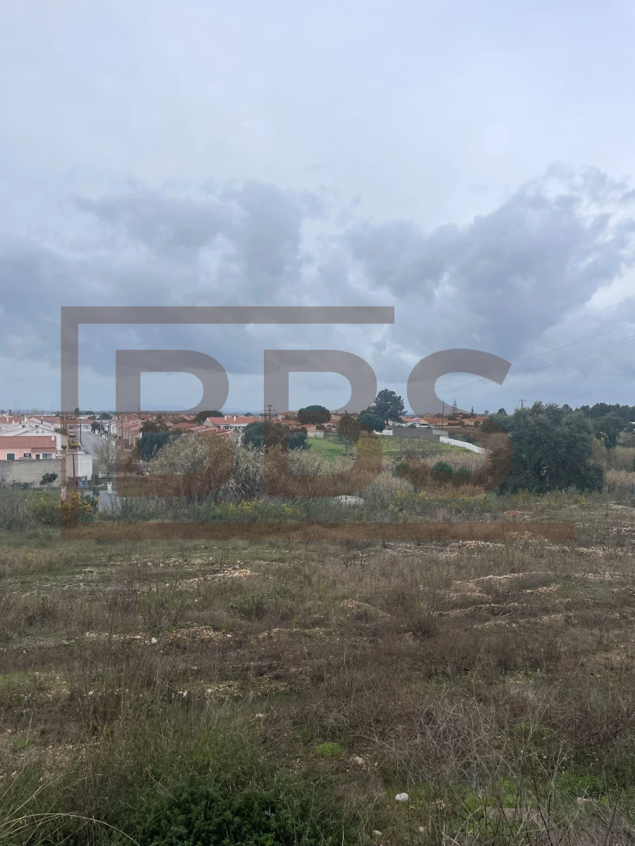 Terreno para Venda em Marinhais Foto 13