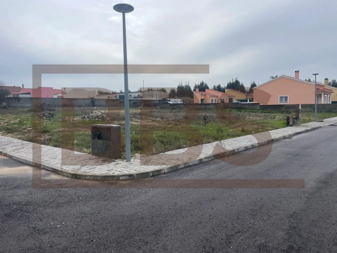 Terreno para Venda em Marinhais Foto 5