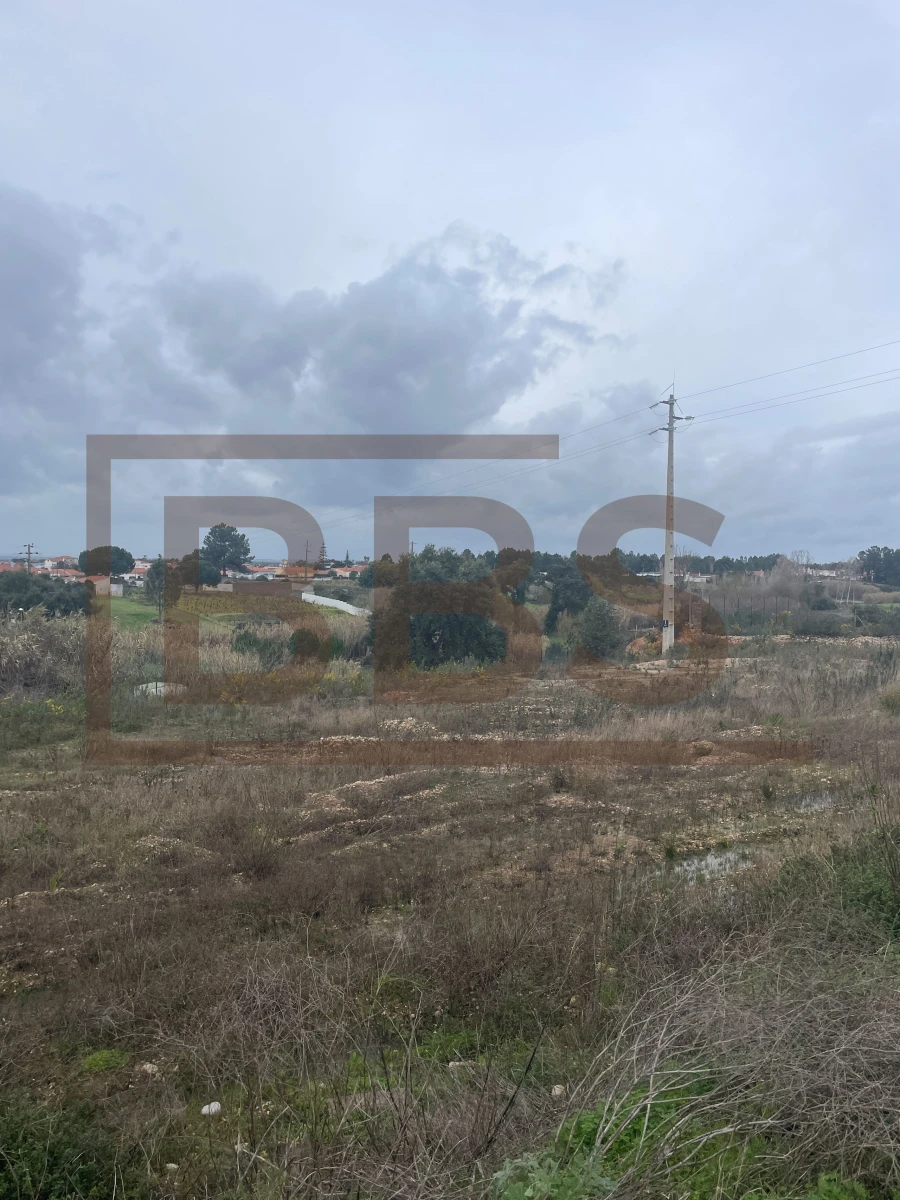 Terreno para Venda em Marinhais Foto 14
