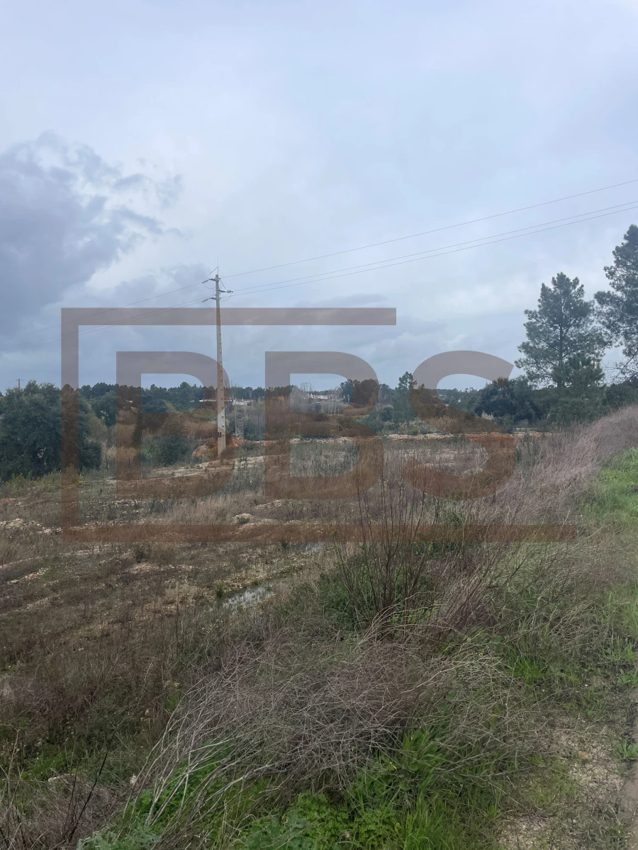 Terreno para Venda em Marinhais Foto 15