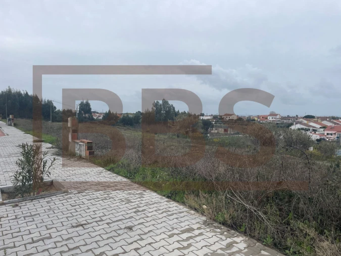 Terreno para Venda em Marinhais Foto 9