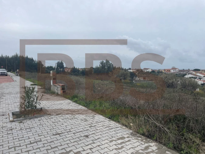 Terreno para Venda em Marinhais Foto 8