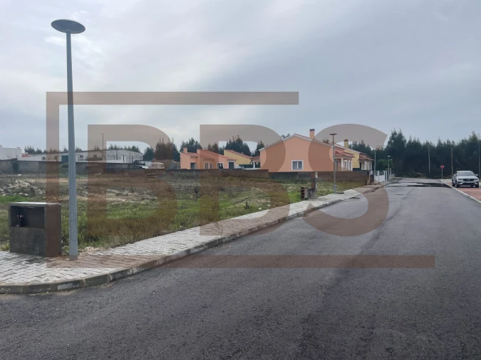 Terreno para Venda em Marinhais Foto 6