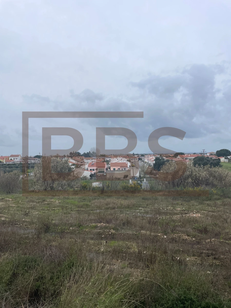Terreno para Venda em Marinhais Foto 12