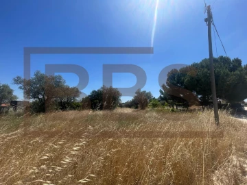 Terreno para Venda em Marinhais