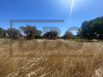 Terreno para Venda em Marinhais