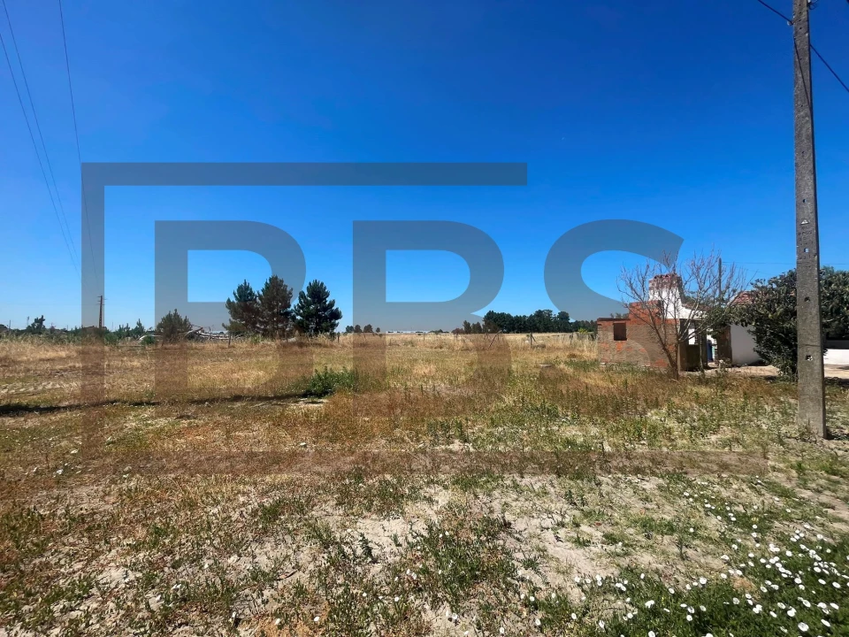Terreno para Venda em Salvaterra de Magos e Foros de Salvaterra Foto 3