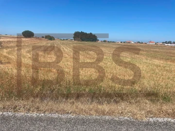 Terreno para Venda em Salvaterra de Magos e Foros de Salvaterra