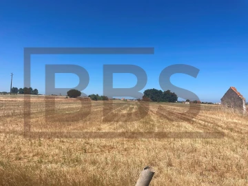 Terreno para Venda em Salvaterra de Magos e Foros de Salvaterra