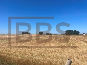 Terreno para Venda em Salvaterra de Magos e Foros de Salvaterra