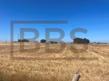 Terreno para Venda em Salvaterra de Magos e Foros de Salvaterra