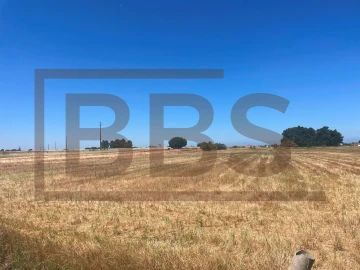 Terreno para Venda em Salvaterra de Magos e Foros de Salvaterra