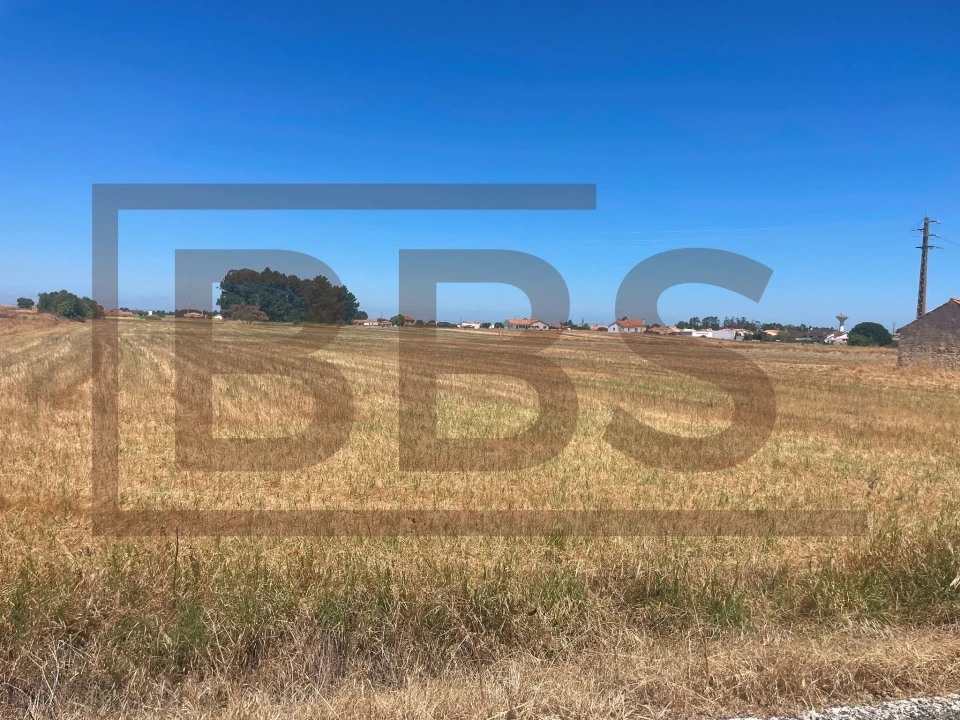 Terreno para Venda em Salvaterra de Magos e Foros de Salvaterra Foto 1