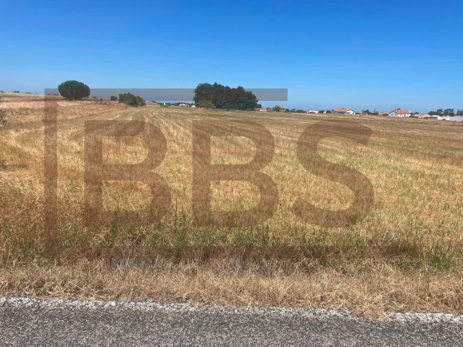 Terreno para Venda em Salvaterra de Magos e Foros de Salvaterra Foto 3