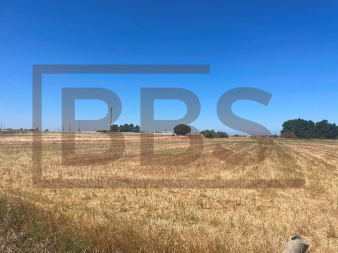 Terreno para Venda em Salvaterra de Magos e Foros de Salvaterra Foto 12