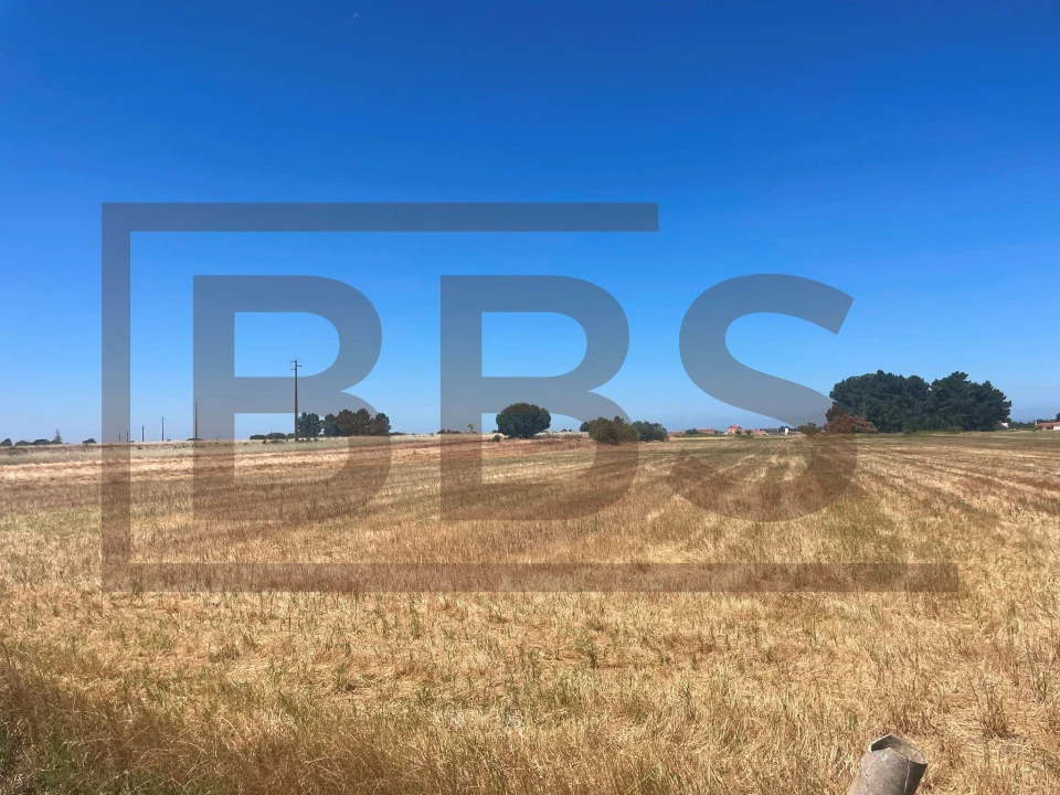 Terreno para Venda em Salvaterra de Magos e Foros de Salvaterra Foto 11