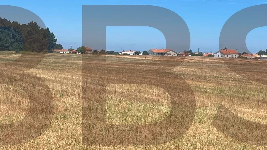 Terreno para Venda em Salvaterra de Magos e Foros de Salvaterra