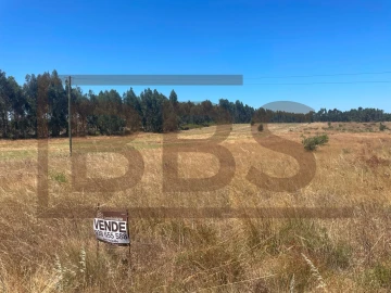 Terreno Agricola ou Rústico para Venda em Salvaterra de Magos e Foros de Salvaterra