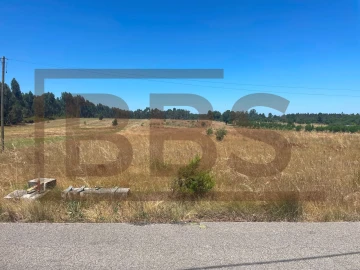Terreno Agricola ou Rústico para Venda em Salvaterra de Magos e Foros de Salvaterra