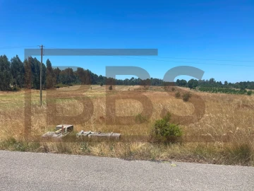 Terreno Agricola ou Rústico para Venda em Salvaterra de Magos e Foros de Salvaterra