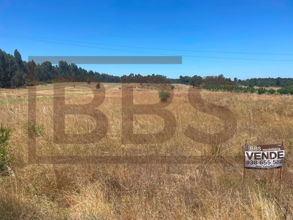 Terreno Agricola ou Rústico para Venda em Salvaterra de Magos e Foros de Salvaterra Foto 4
