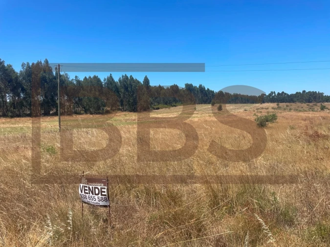 Terreno Agricola ou Rústico para Venda em Salvaterra de Magos e Foros de Salvaterra Foto 6