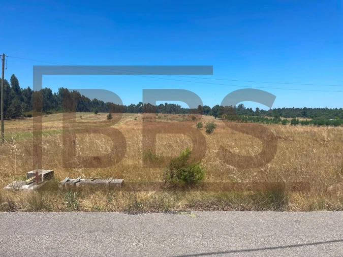 Terreno Agricola ou Rústico para Venda em Salvaterra de Magos e Foros de Salvaterra Foto 3