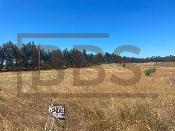 Terreno Agricola ou Rústico para Venda em Salvaterra de Magos e Foros de Salvaterra Foto 7