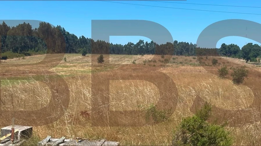 Terreno Agricola ou Rústico para Venda em Salvaterra de Magos e Foros de Salvaterra