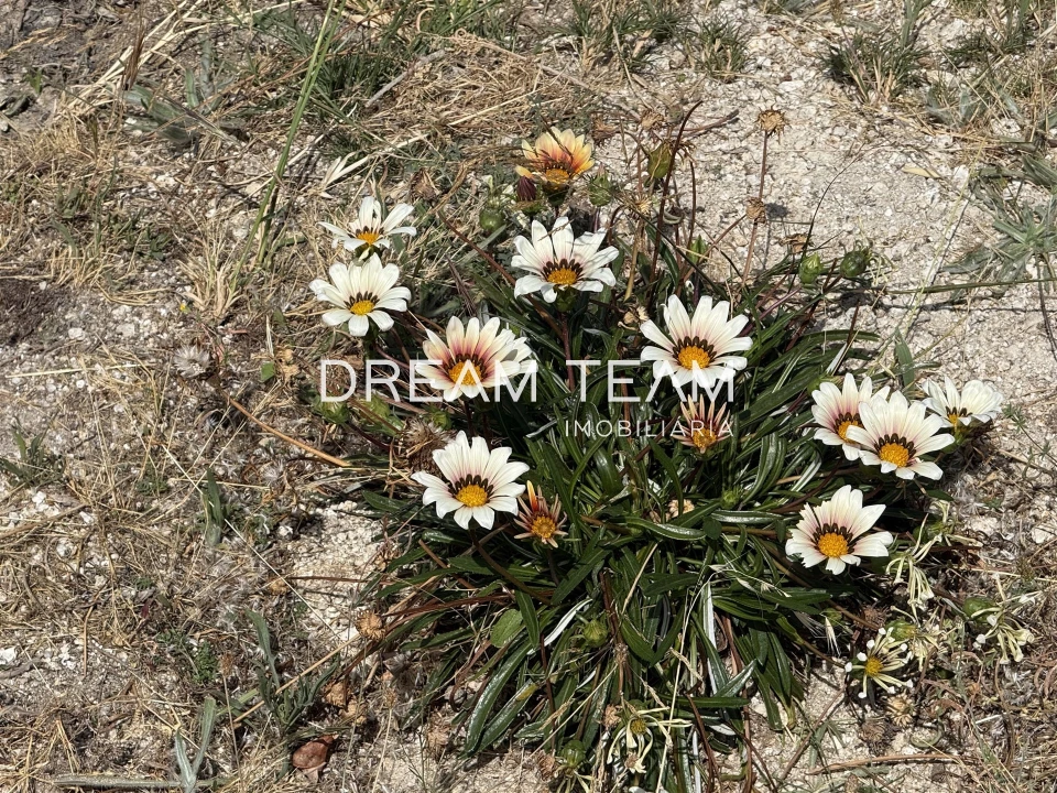Quinta T5 para Venda em Santa Marinha e São Martinho Foto 21