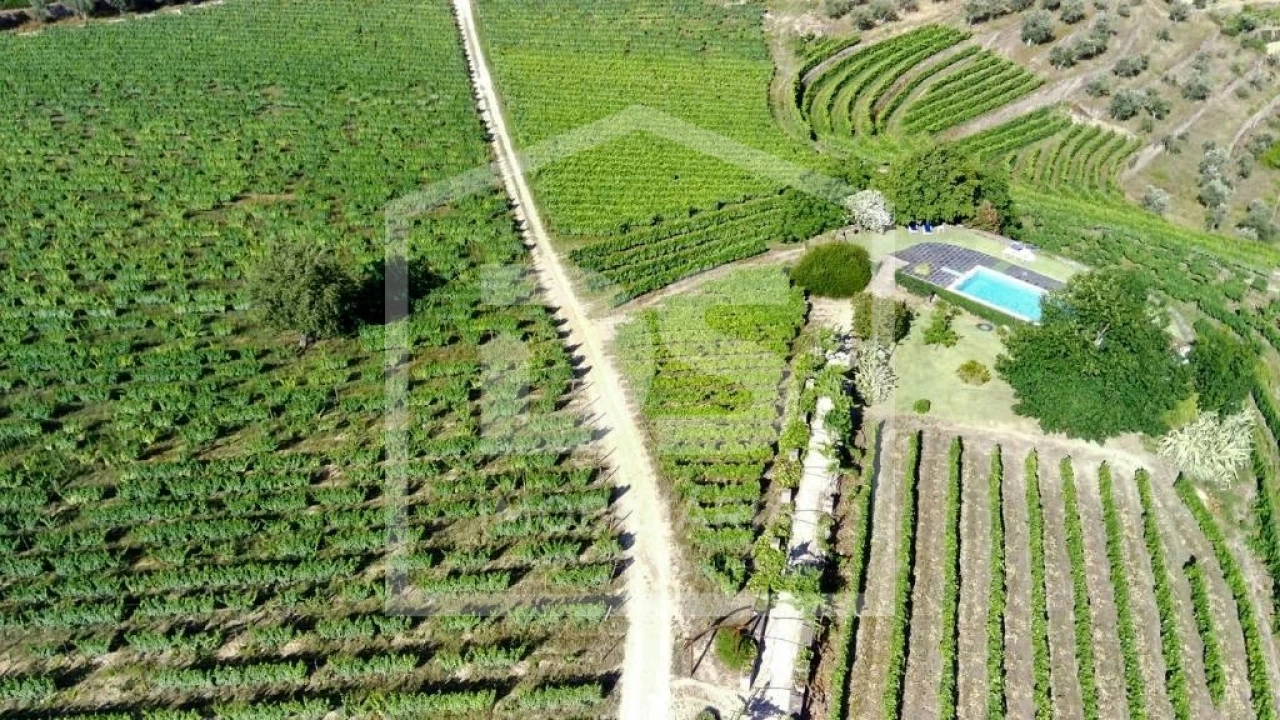 Quinta T0 para Venda em Cumieira Foto 56