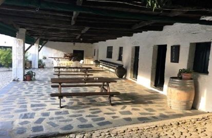 Quinta T0 para Venda em Cumieira