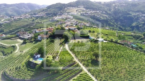 Quinta T0 para Venda em Cumieira