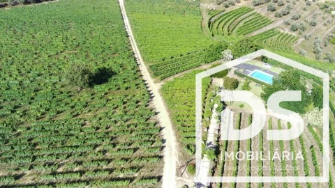 Quinta T0 para Venda em Cumieira