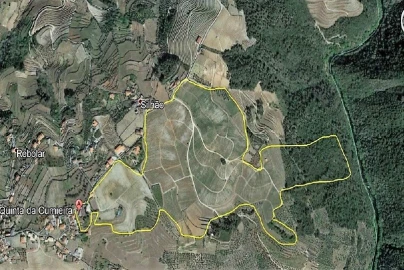 Quinta T0 para Venda em Cumieira