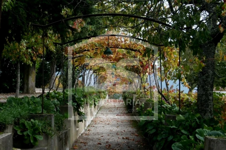 Quinta T0 para Venda em Cumieira Foto 37