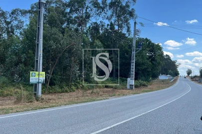 Terreno para Venda em Vilar de Besteiros e Mosteiro de Fráguas
