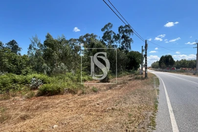Terreno para Venda em Vilar de Besteiros e Mosteiro de Fráguas